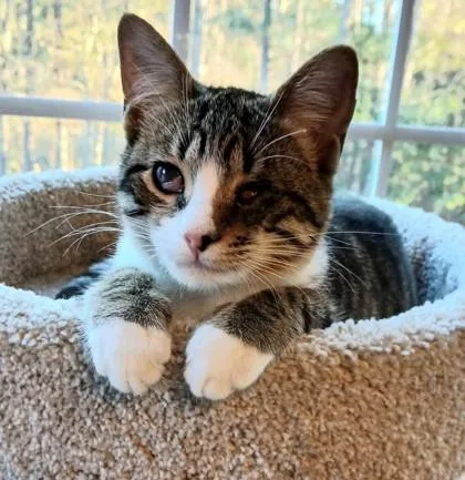 Kenny  `a Priority thumbnail 2