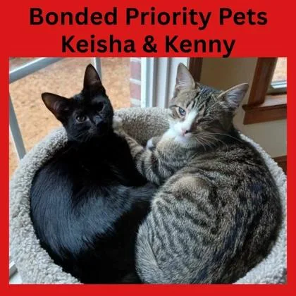 Kenny  `a Priority thumbnail 3