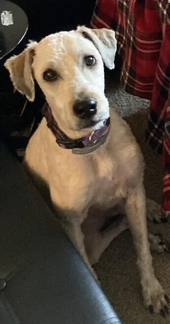 Ellie
