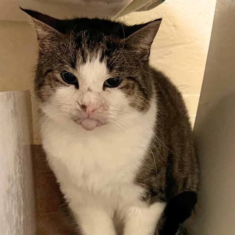 Ms. Loretta thumbnail 2