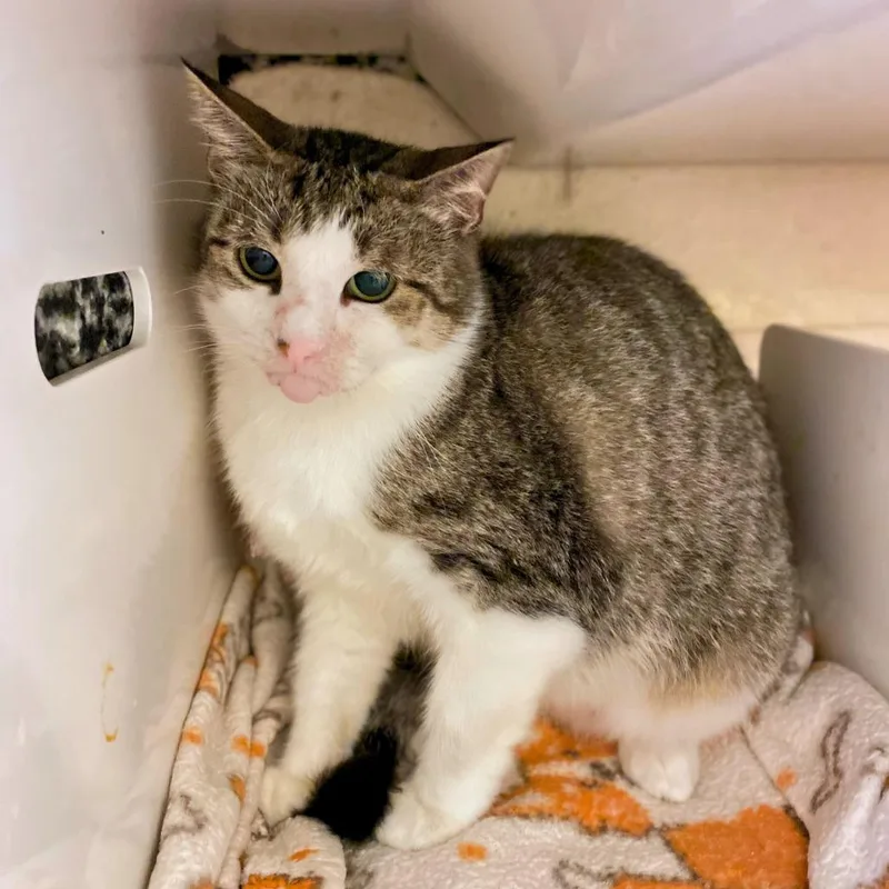 Ms. Loretta thumbnail 3