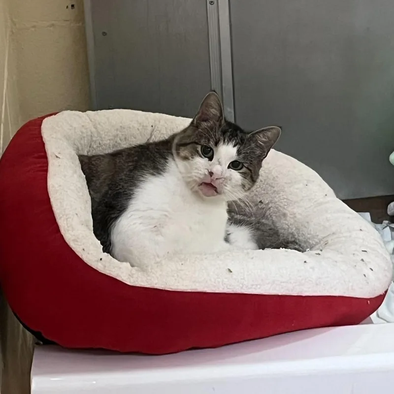 Ms. Loretta thumbnail 5