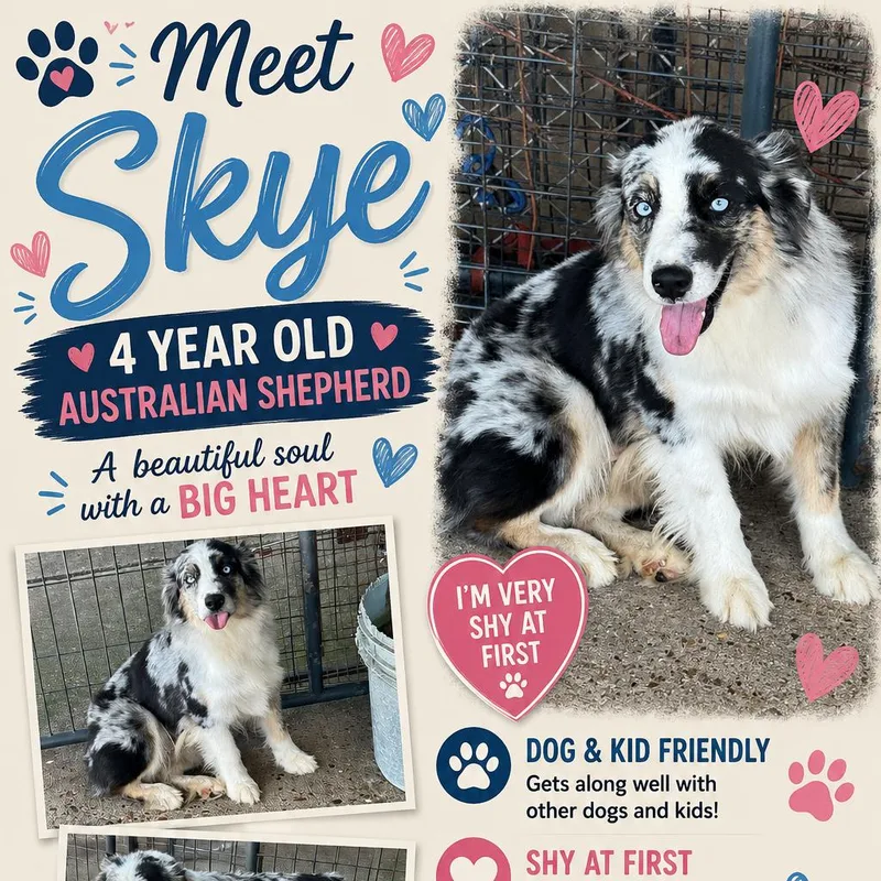 Skye thumbnail 2