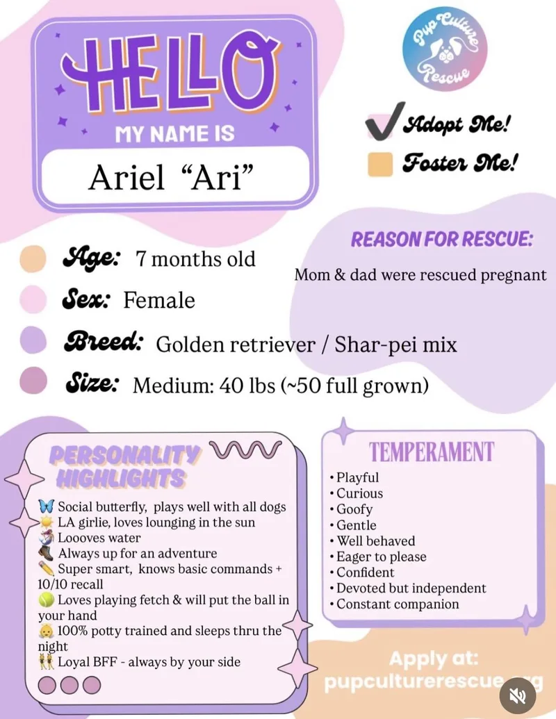 Ariel thumbnail 4