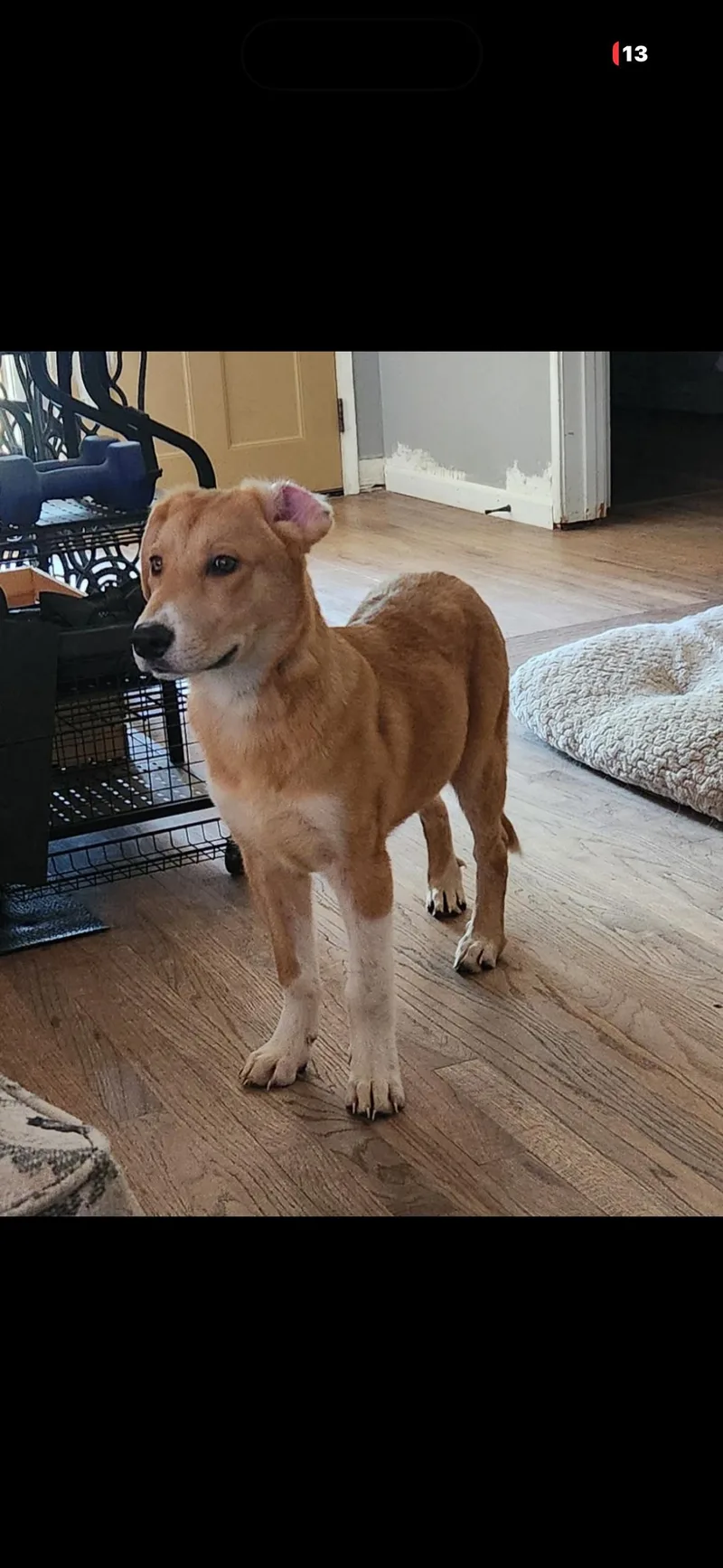 Max