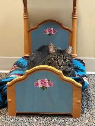 Fifi   `a thumbnail 2