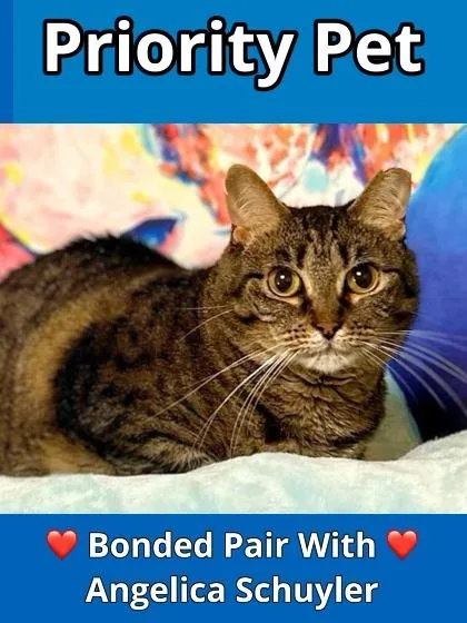 Fifi   `a thumbnail 3