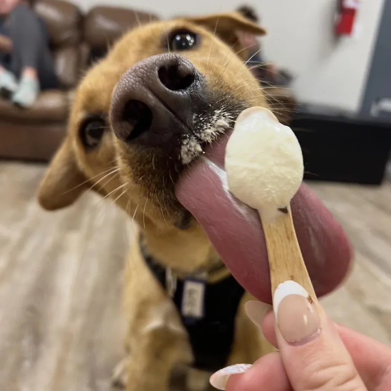 Bailey thumbnail 2