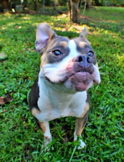 Missy thumbnail 2