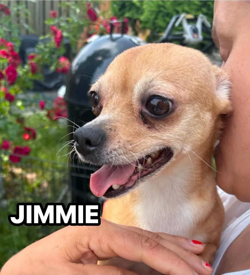 Jimmie