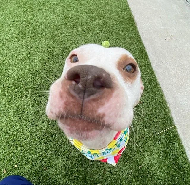 Zara Larson thumbnail 2