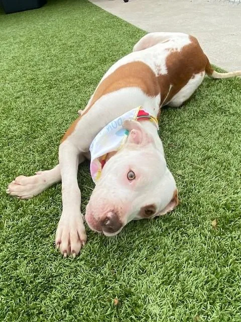 Zara Larson thumbnail 4