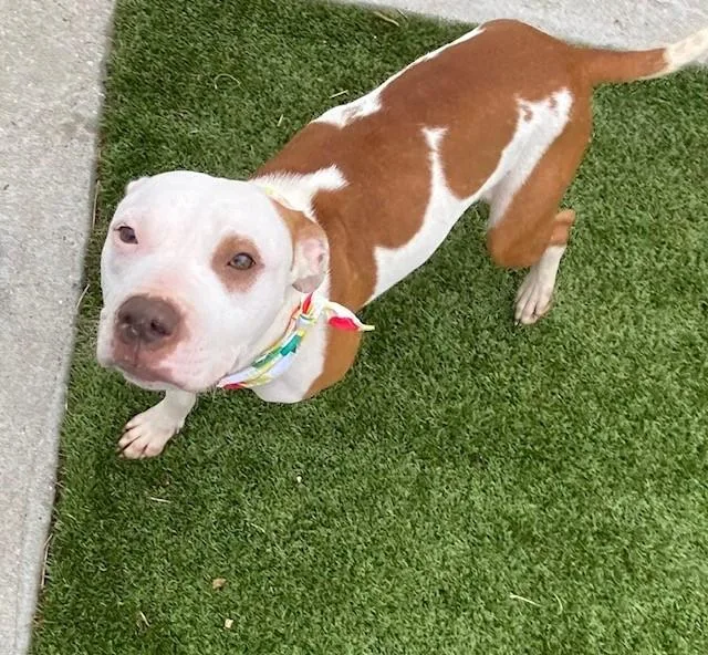 Zara Larson thumbnail 5