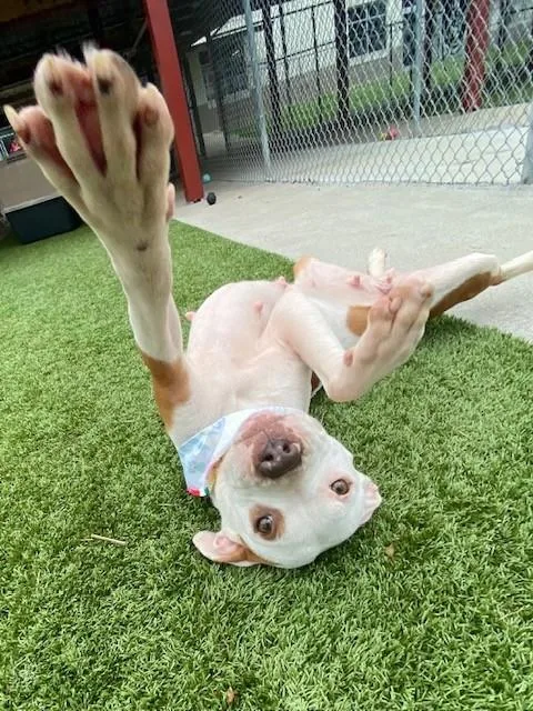 Zara Larson thumbnail 6