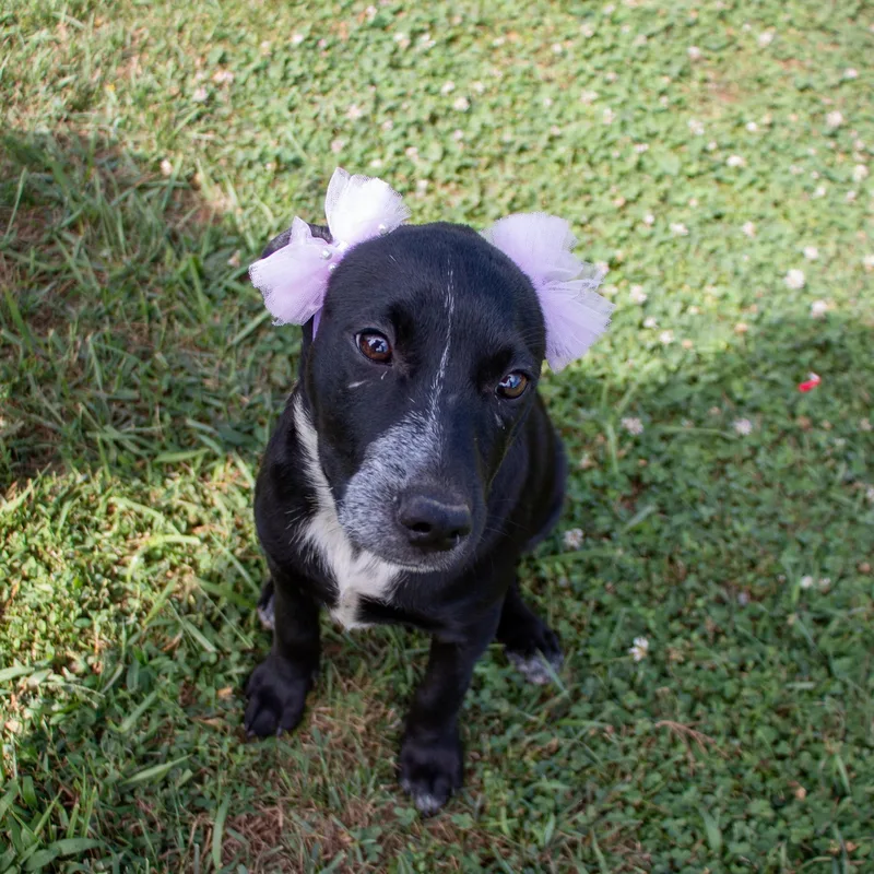 Princess Kiko thumbnail 4