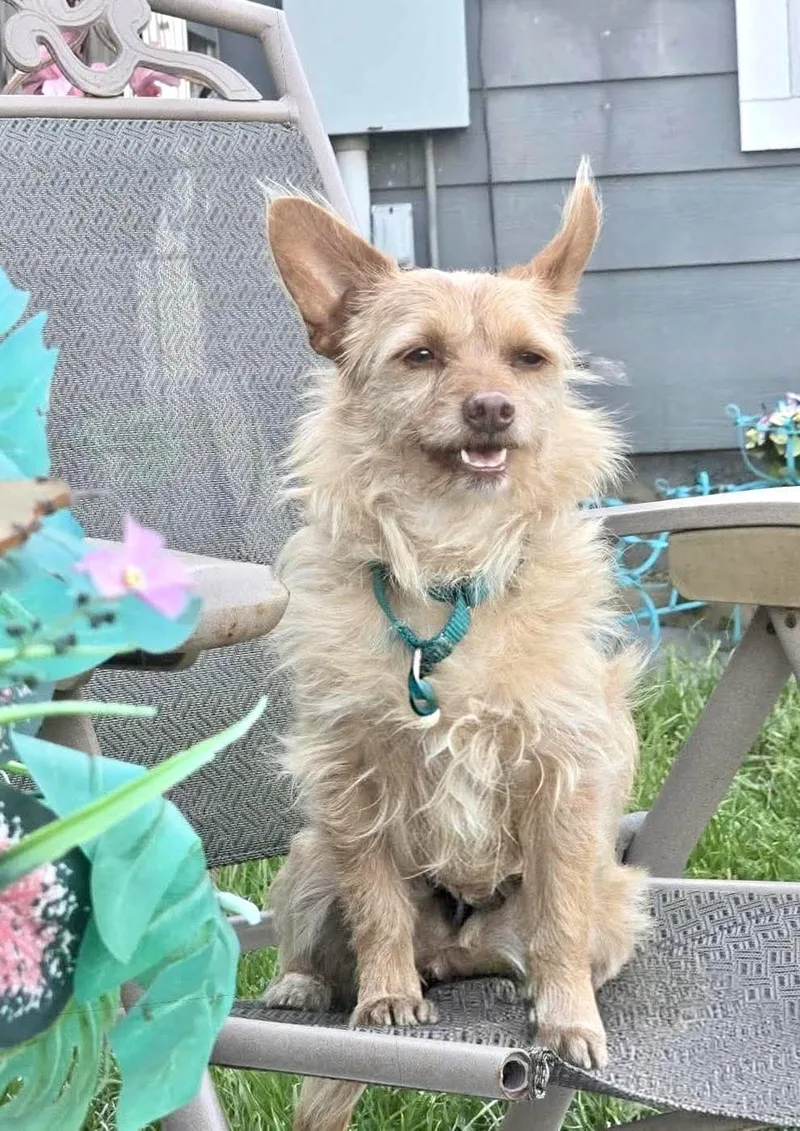 Kemp the perfect lovable