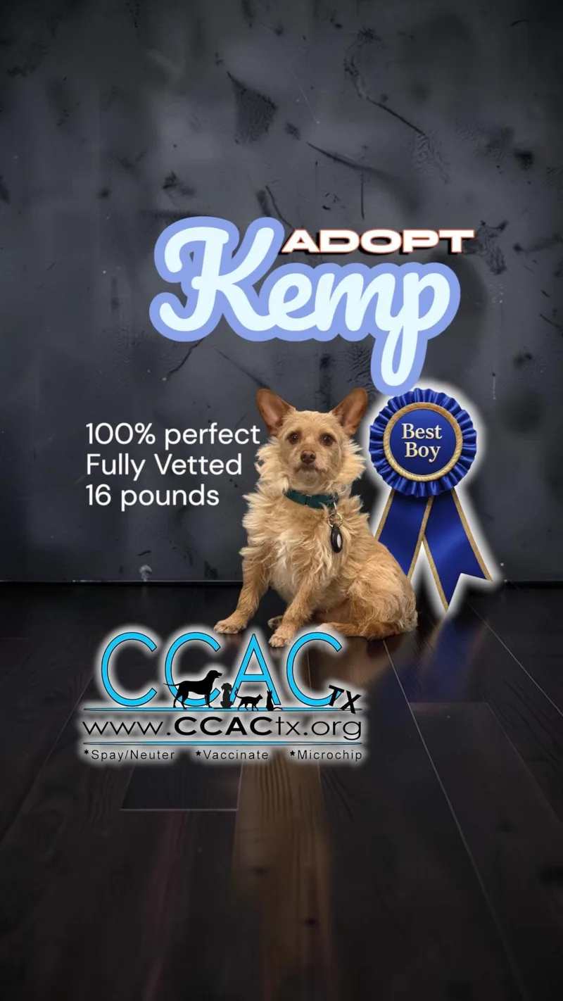Kemp the perfect lovable thumbnail 6