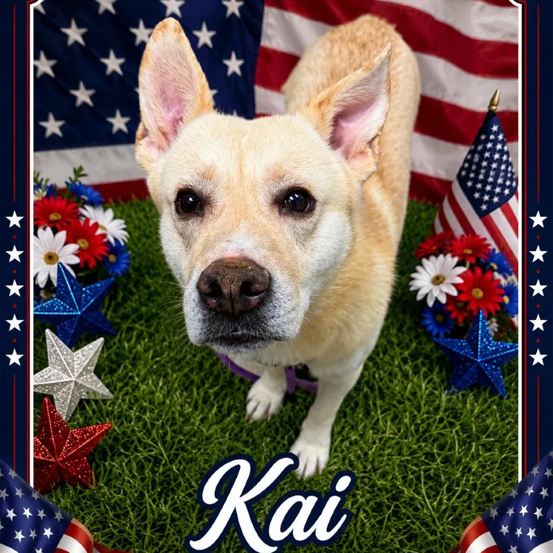 Kai thumbnail 2