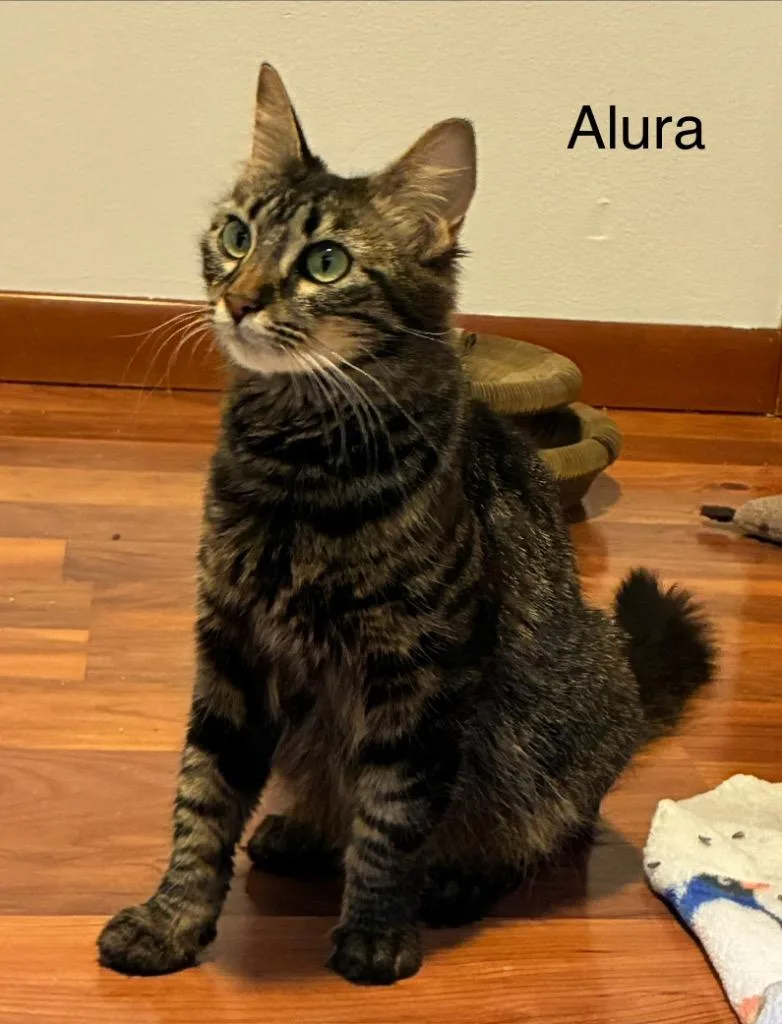 Alura thumbnail 2