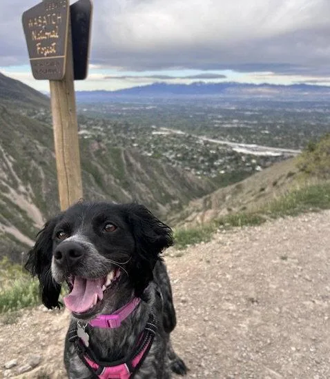 Utmillie thumbnail 2