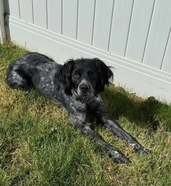 Utmillie thumbnail 3