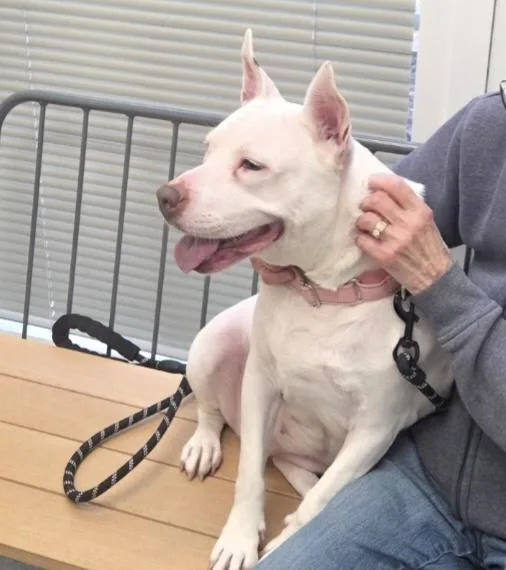 Evie Keller thumbnail 2