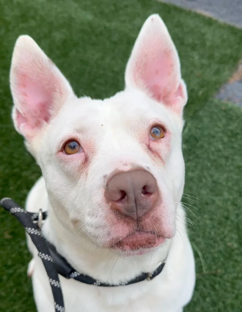 Evie Keller thumbnail 3