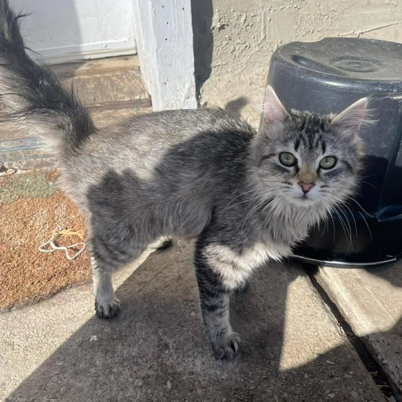 Kip Carter thumbnail 3