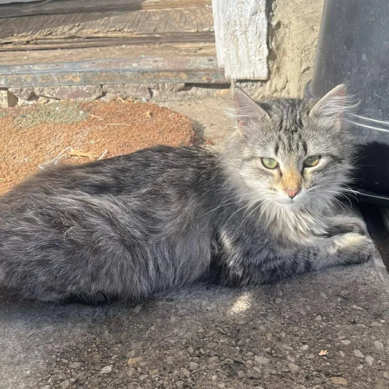 Kip Carter thumbnail 4