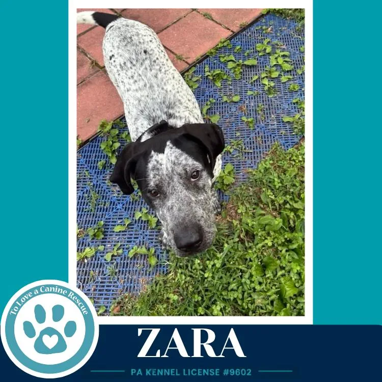 Zara thumbnail 2