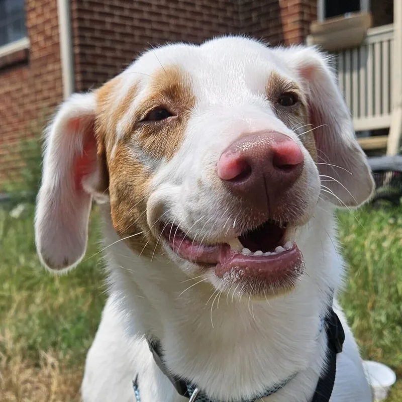 Morty