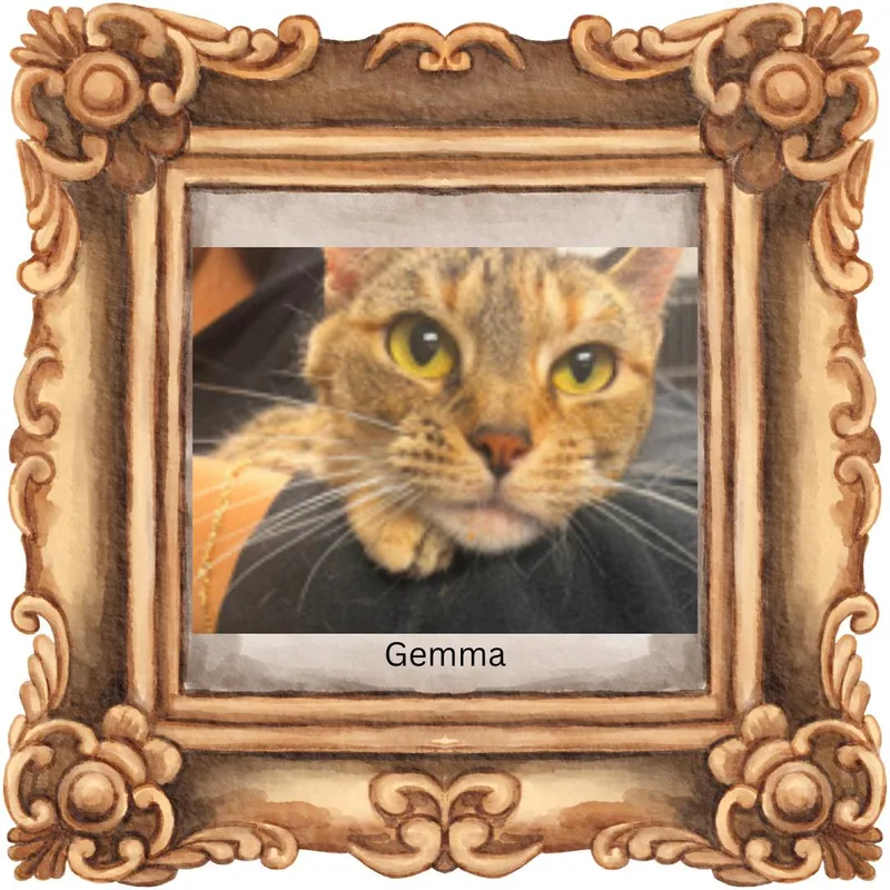 Gemma thumbnail 5