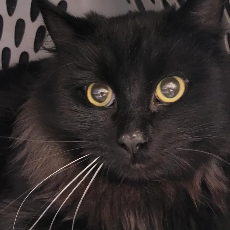 Plot Twist thumbnail 2