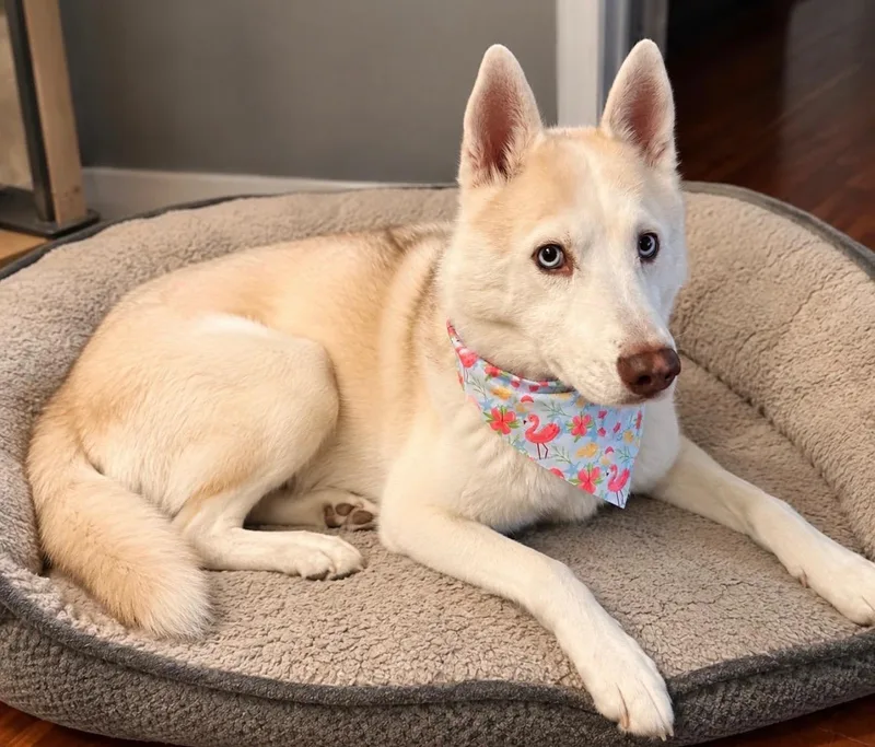 Ace Of Melted Hearts thumbnail 2