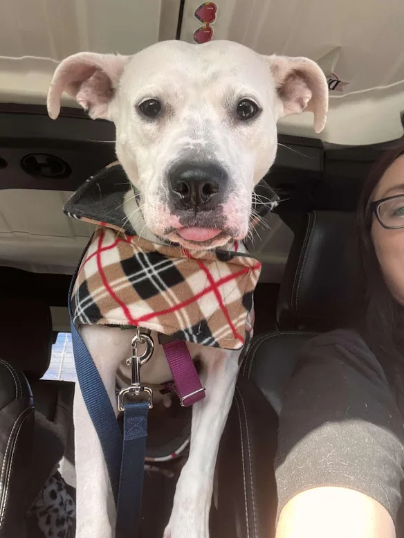 Reba Barkentire thumbnail 2