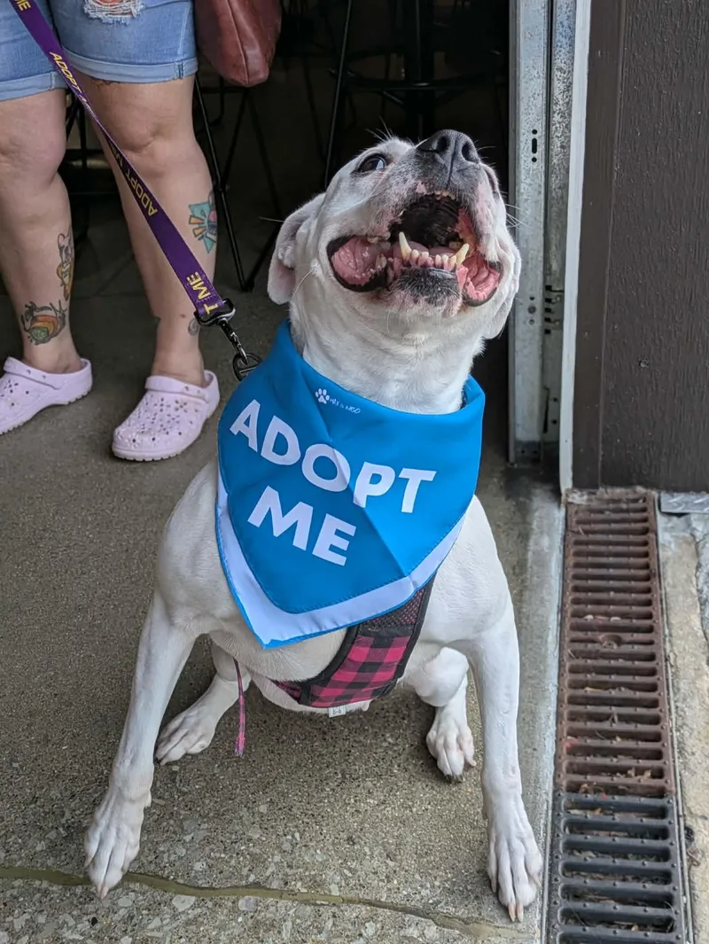 Reba Barkentire thumbnail 3