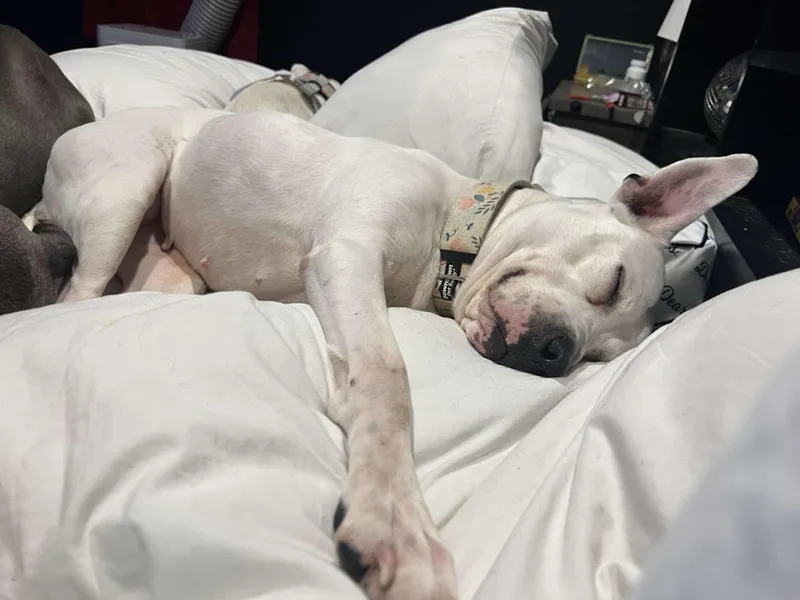 Reba Barkentire thumbnail 6