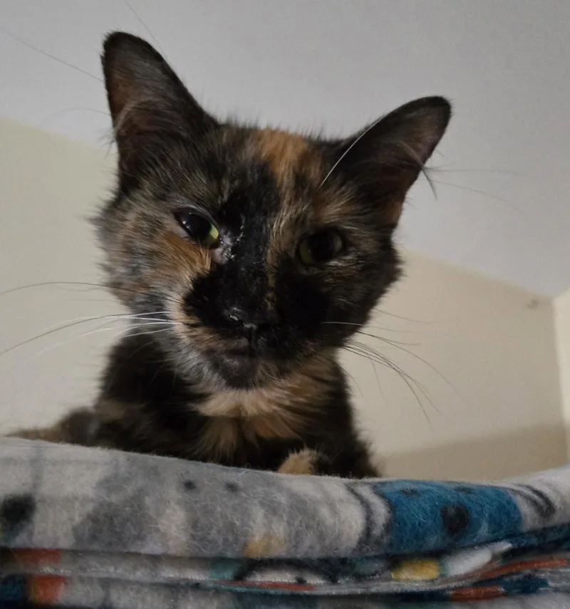 Little Miss Marbles thumbnail 2