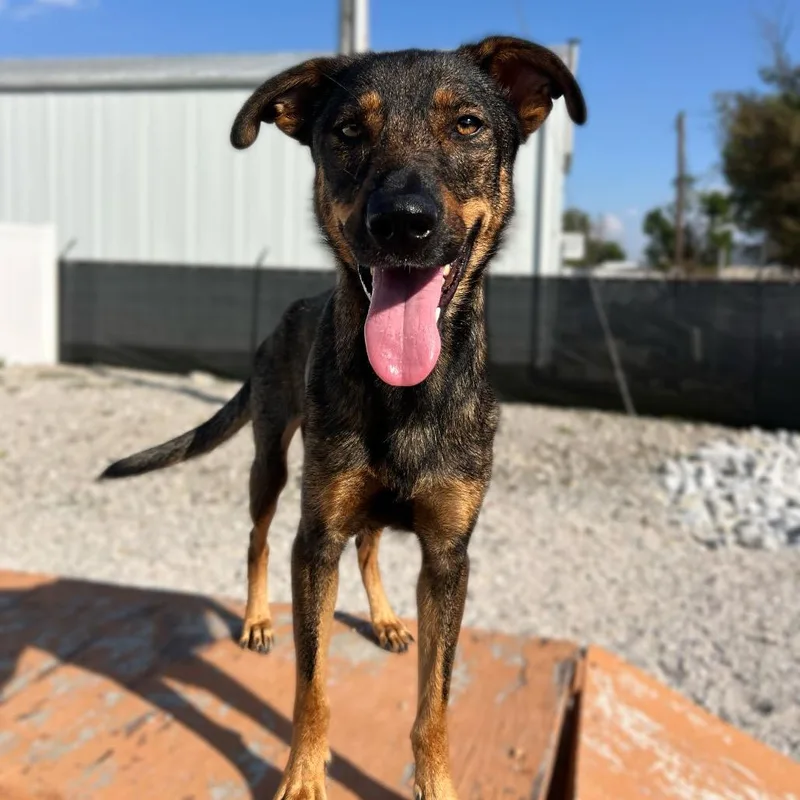 Bonniemom thumbnail 3