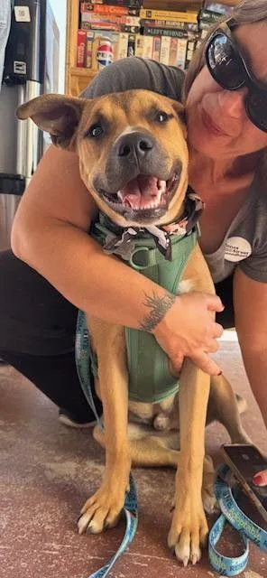 Crockett thumbnail 2