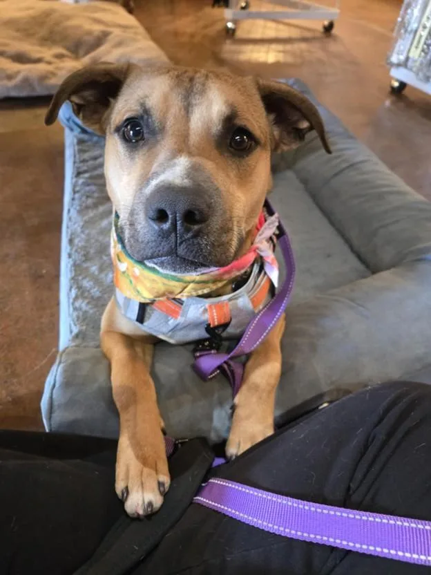 Crockett thumbnail 3