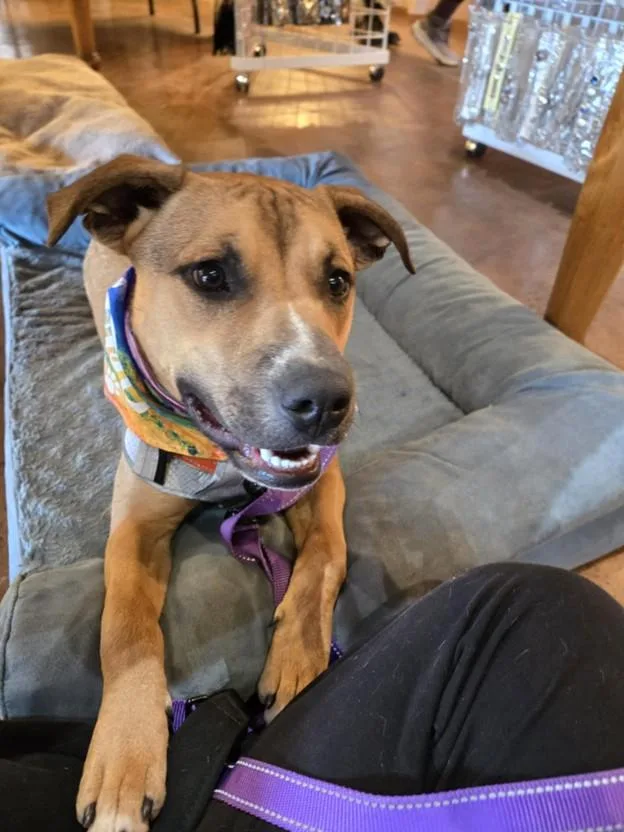 Crockett thumbnail 5