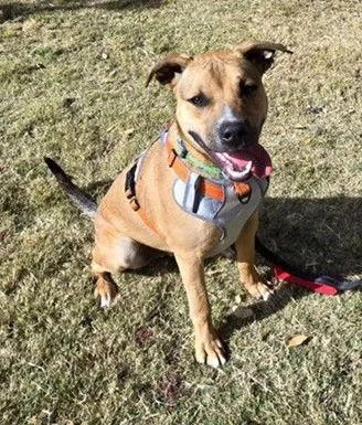 Crockett thumbnail 6