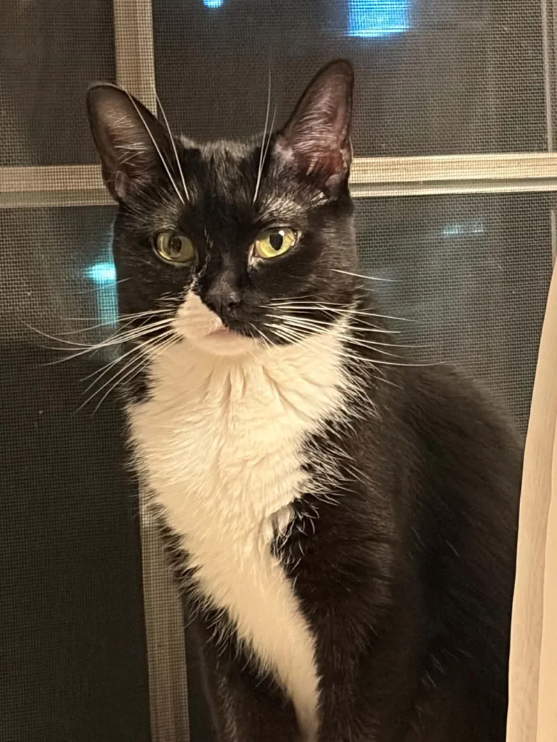 Waffles is simply wonderful thumbnail 3
