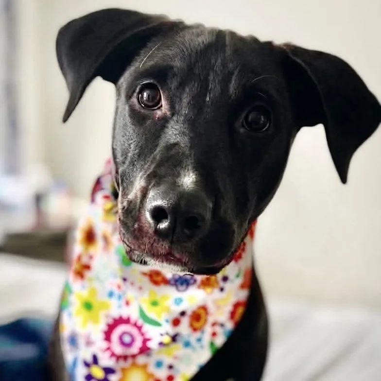 Rory thumbnail 3