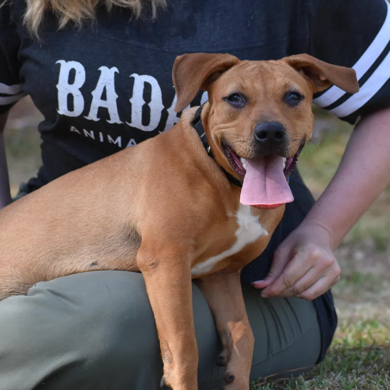 Coco Gauff thumbnail 3