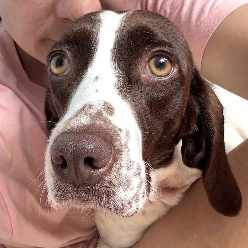 Dora