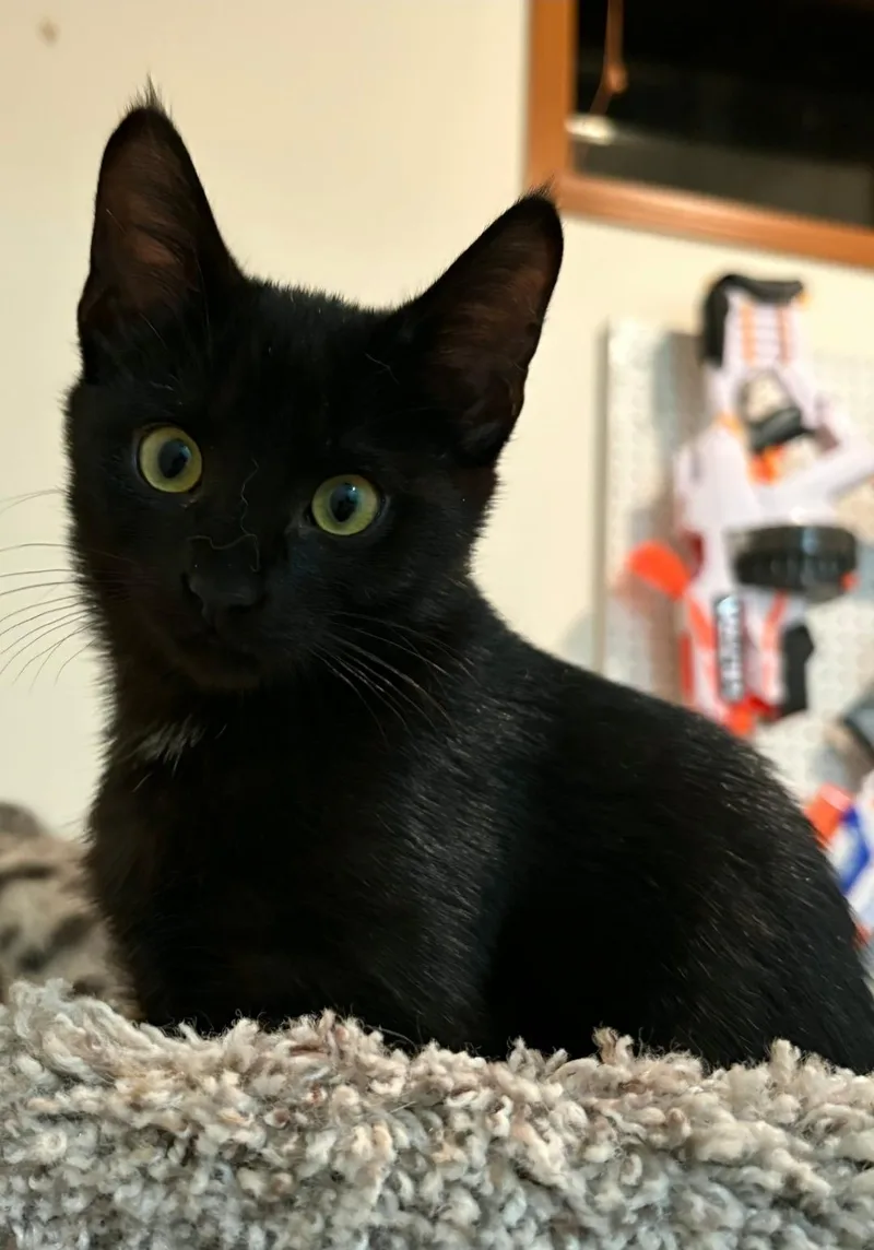 Mimi thumbnail 3