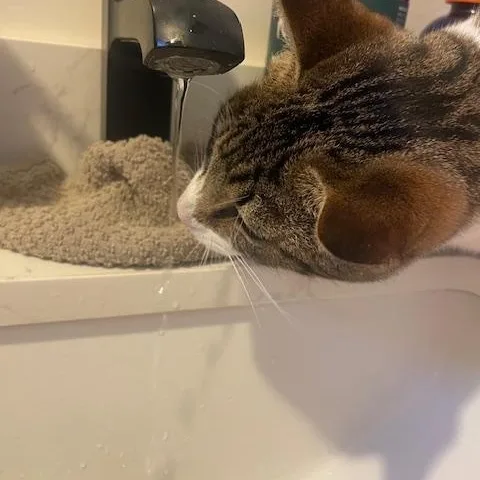 Baby Boy thumbnail 2