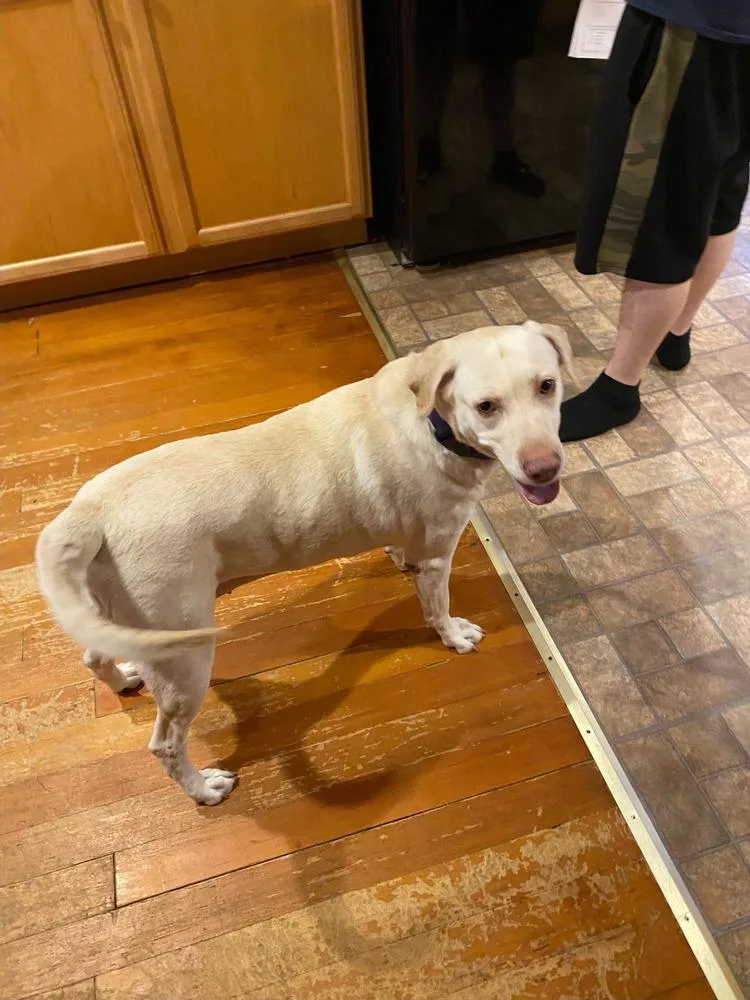 Lucky  Aka “lucky thumbnail 3